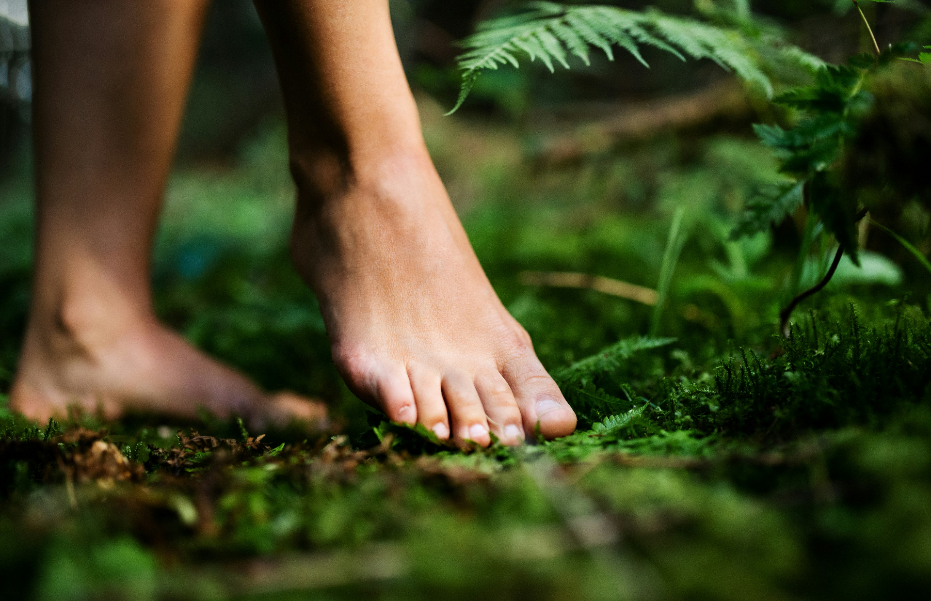 Bare feet stepping softly on green moss and ferns in a forest