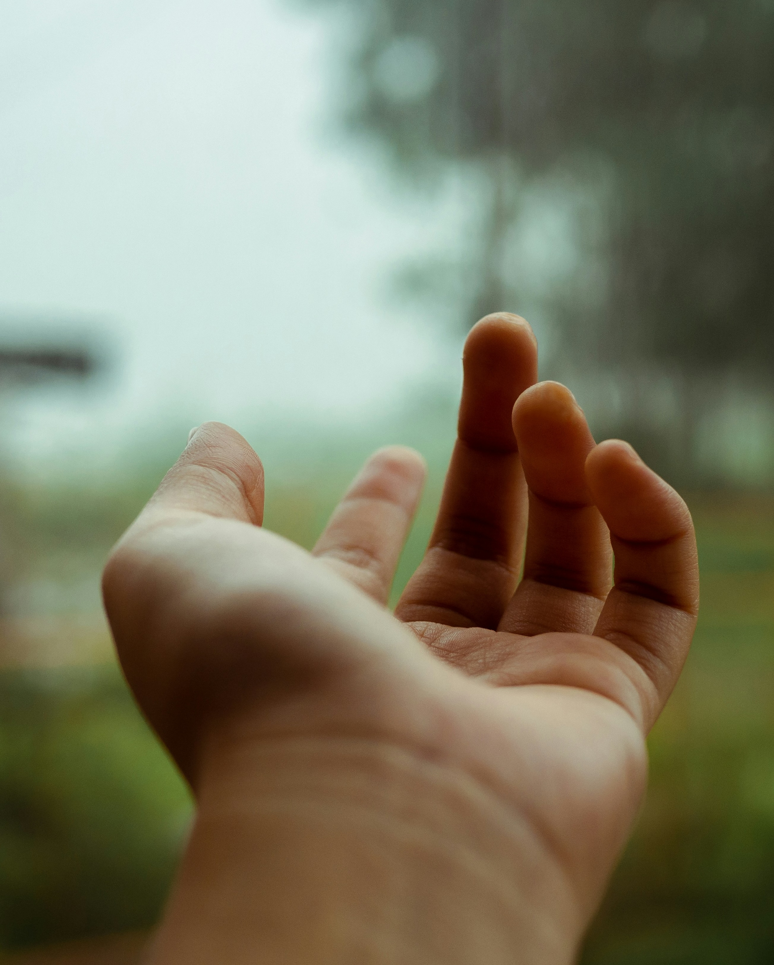 Open hand reaching upward against a blurred outdoor background