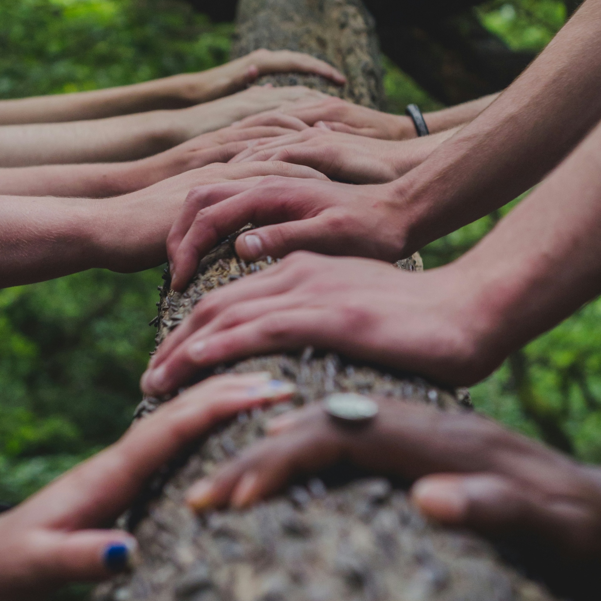 Hands resting along a tree branch