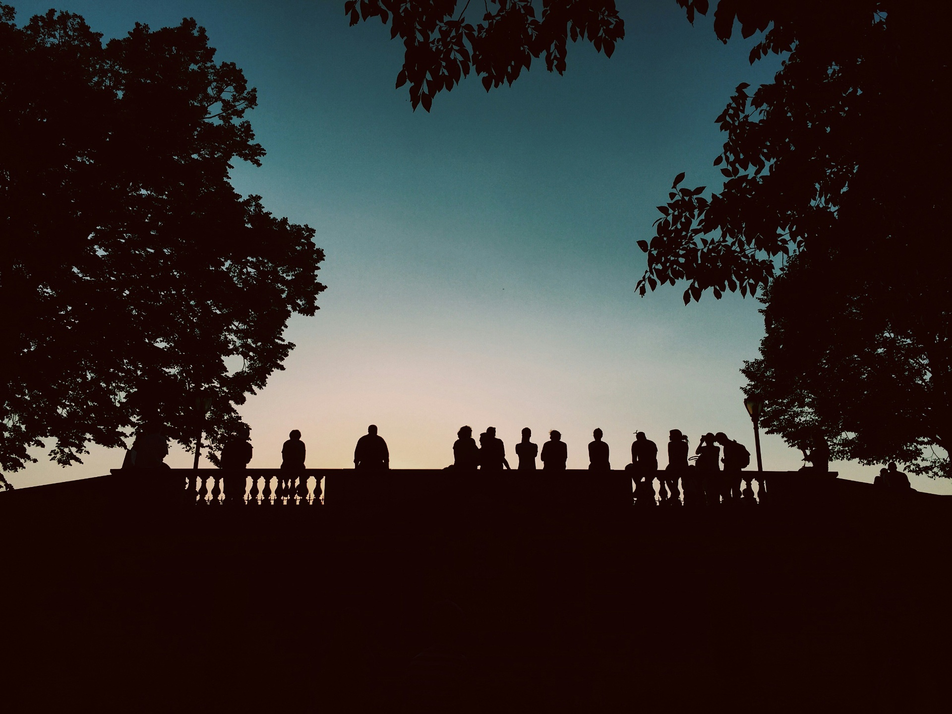Silhouettes of people sitting on a wall at dusk framed by trees